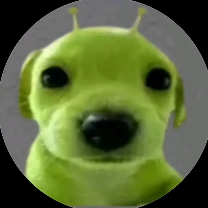 banhmibowsuaa